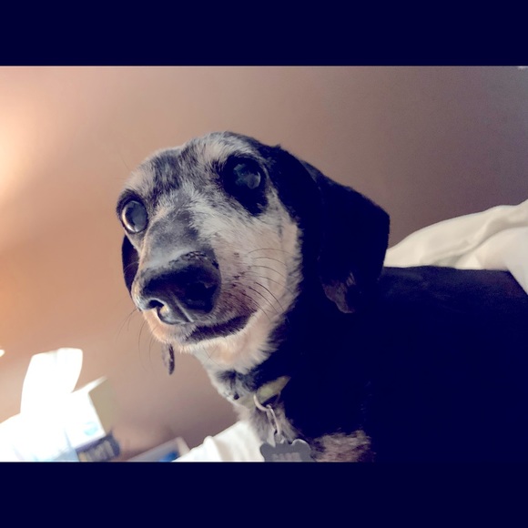 Meet your Posher, Ann - Picture 1 of 1